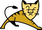 Apache Tomcat J2EE Server